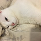 みつほ